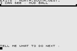 Adventure abandonware