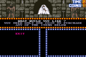 Double Dragon 3: The Rosetta Stone 19