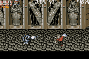 Double Dragon 3: The Rosetta Stone 24