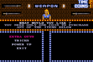 Double Dragon 3: The Rosetta Stone 2
