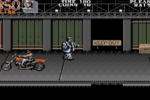 Double Dragon 3: The Rosetta Stone 4