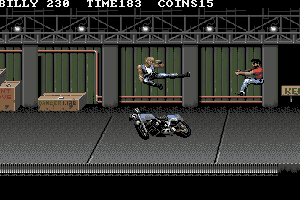 Double Dragon 3: The Rosetta Stone 11