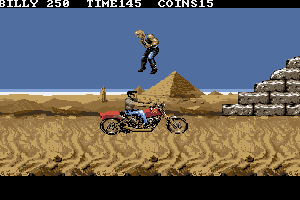 Double Dragon 3: The Rosetta Stone 24