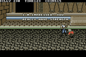 Double Dragon 3: The Rosetta Stone 34