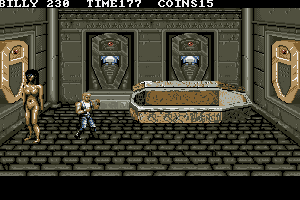 Double Dragon 3: The Rosetta Stone 37