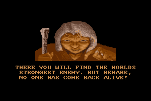 Double Dragon 3: The Rosetta Stone 3