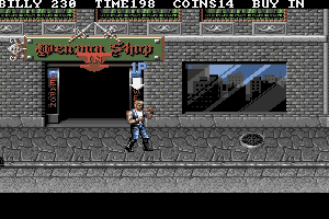 Double Dragon 3: The Rosetta Stone 5