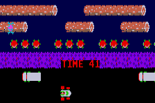 Frogger 6