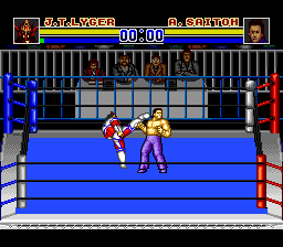 Shin Nihon Pro-Wrestling '94: Battlefield in Tokyo Dome abandonware