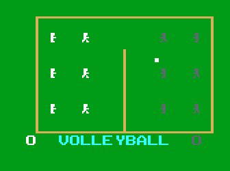 Volleyball! abandonware